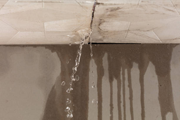 Professional Water Damage Repair technician working in Litchville, ND